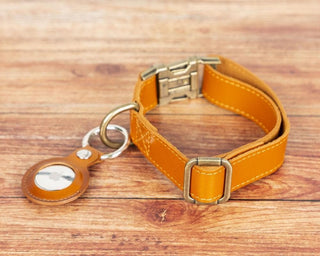 Bouletta Dog Collar Scooby Leather Dog Collar Premium Koruma