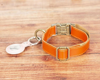 Bouletta Dog Collar Scooby Leather Dog Collar Premium Koruma
