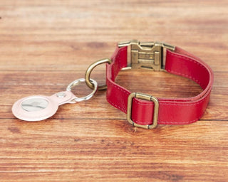 Bouletta Dog Collar Scooby Leather Dog Collar Premium Koruma